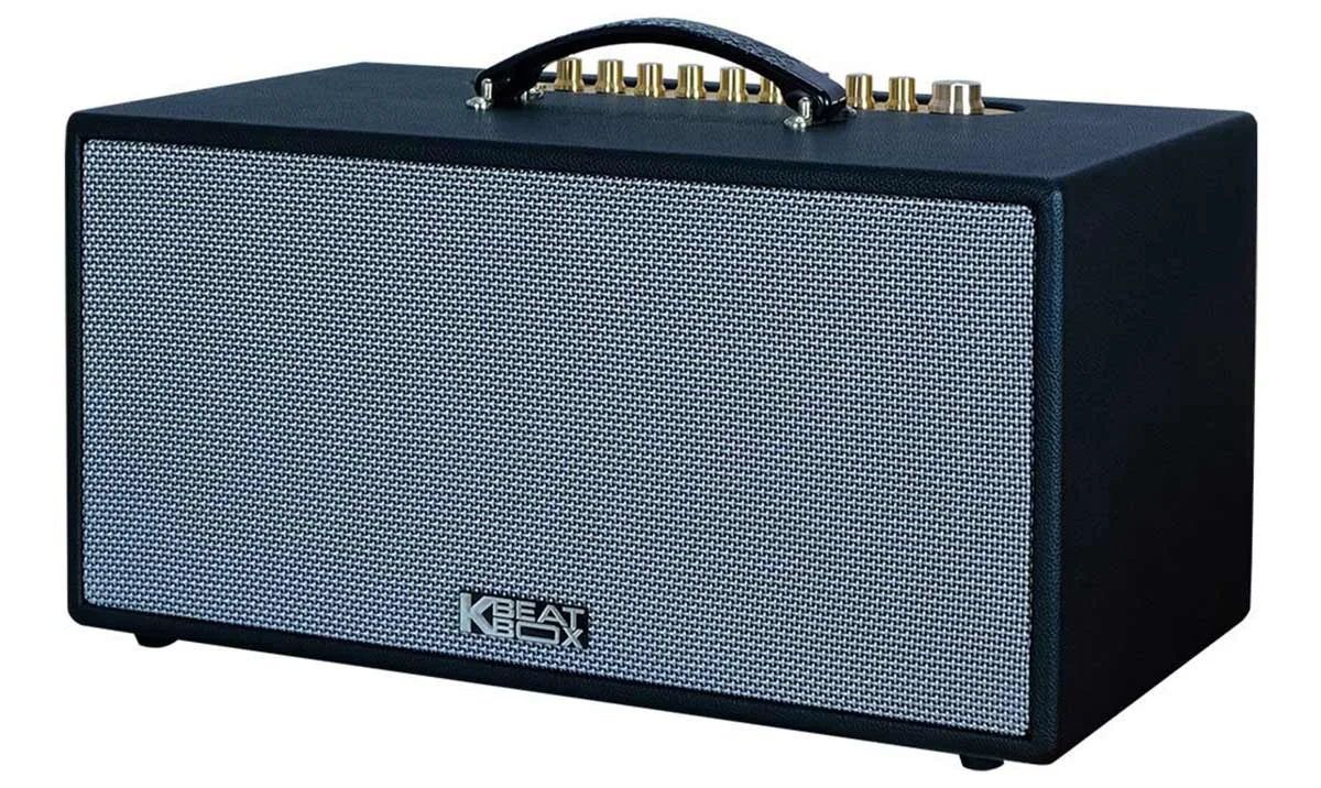 Loa Kéo Karaoke Xách Tay Acnos CS 455D - Ảnh 4