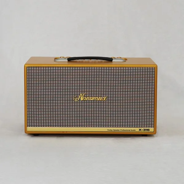 Loa Karaoke Xách Tay Nanomax X-316