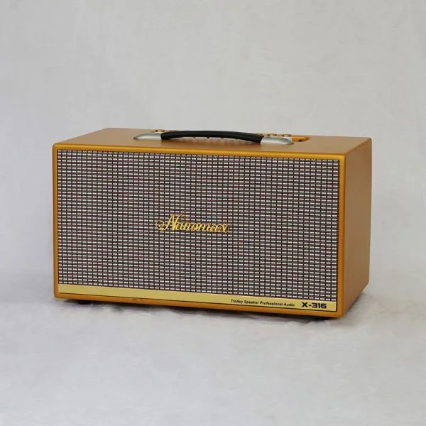 Loa Karaoke Xách Tay Nanomax X-316 - Ảnh 2