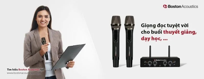Boston Acoustics WMS210
