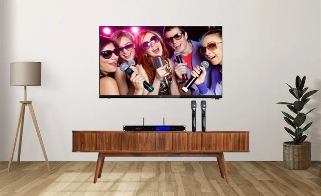 Micro Không Dây Boston Acoustics WMS610 | Chống hú | Chính hãng 19 Boston Acoustics WMS610