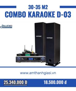 Dàn Karaoke gia đình D-04