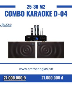 Combo dàn karaoke gia đình D-04