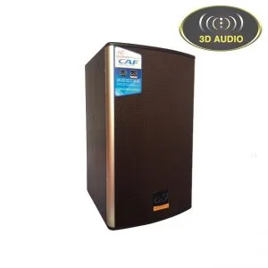 Hinh san pham Loa karaoke CaF chinh hang CA 12 pro