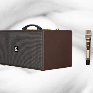 loa kéo xach tay Komi K558 màu nâu