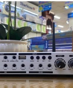Vang co JBL K600 chong hu gia si