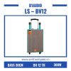 LS – BV12