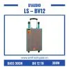 LS – BV12
