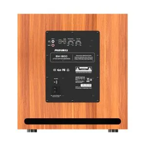 mat sau loa sub dien paramax SW 1800