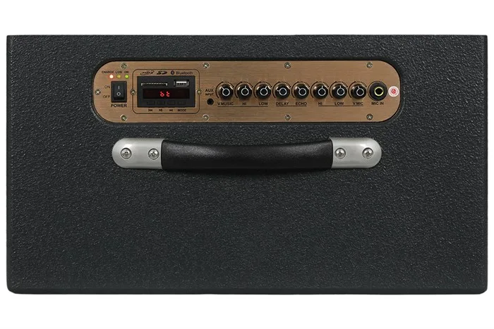 Loa Karaoke Xách Tay Dalton PS-K25A - Ảnh 10