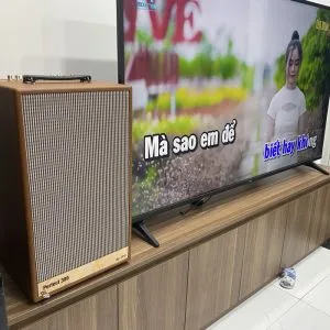 Loa karaoke xách tay EG-Perfect 300