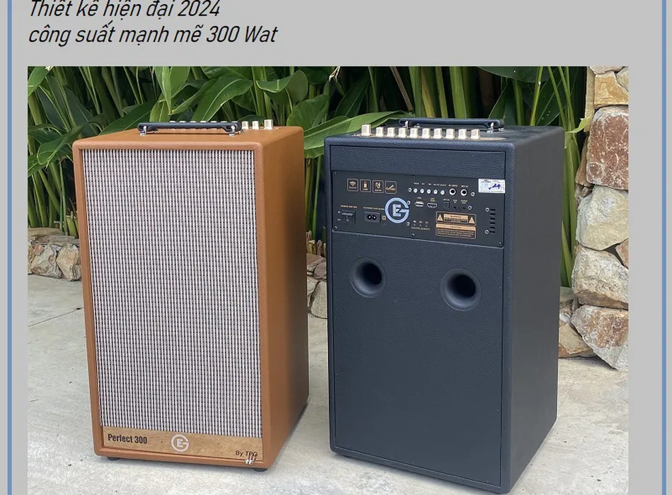 Loa karaoke xách tay EG-Perfect 300