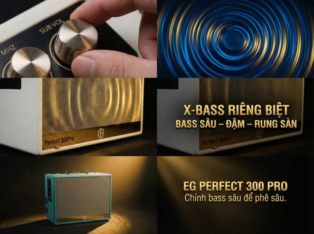 Loa xach tay EG Perfect 300 Pro