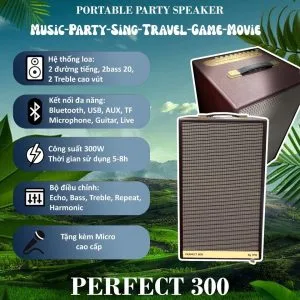 loa keokaraoke xach tay Eg Perfect 300