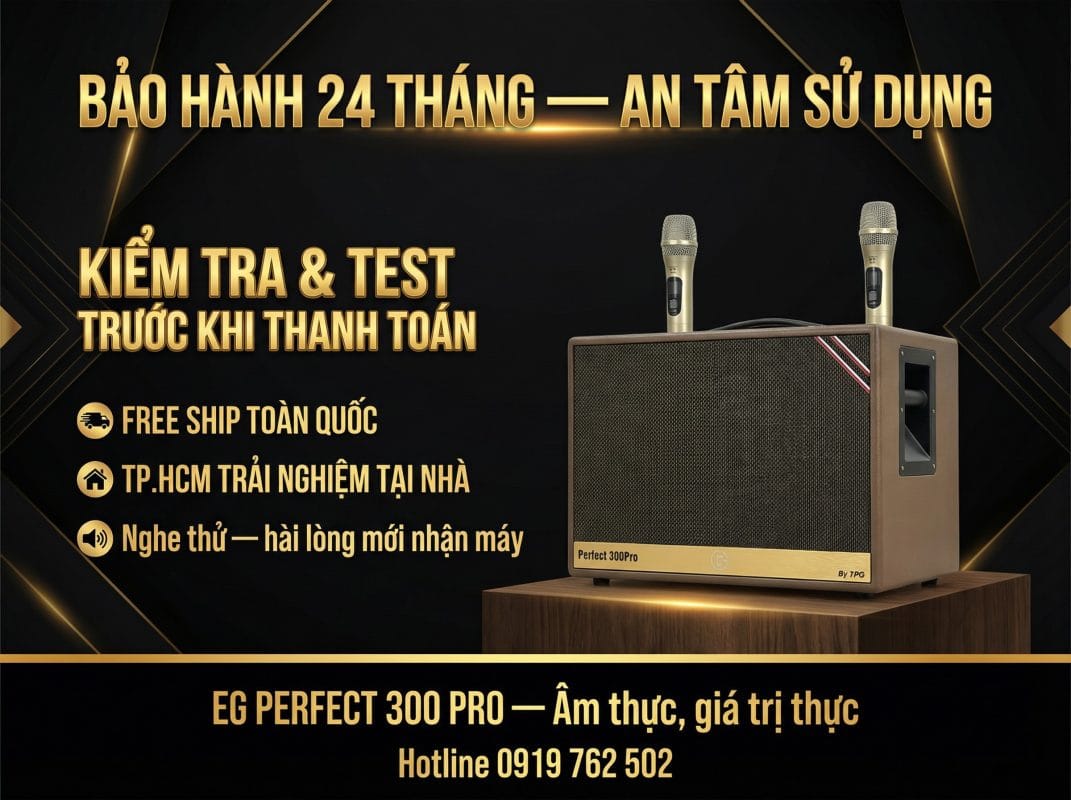 Loa Xách Tay Perfect 300Pro