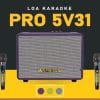 Loa karaoke xách tay Pro 5V31