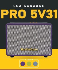 Loa karaoke xách tay Pro 5V31