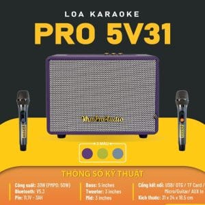 Loa karaoke xách tay Pro 5V31