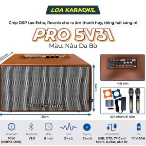 Loa karaoke xách tay Pro 5V31