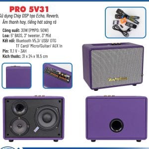 Loa karaoke xách tay Pro 5V31 màu tím