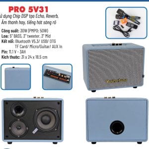Loa karaoke xách tay Pro 5V31