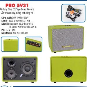 Loa karaoke xách tay Pro 5V31 màu xanh