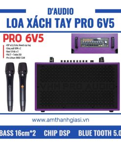 Loa karaoke xách tay Pro 6V5