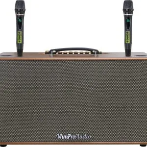 Loa karaoke xách tay Pro 8K10