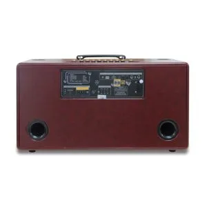 Loa karaoke xách tay Pro 8K10