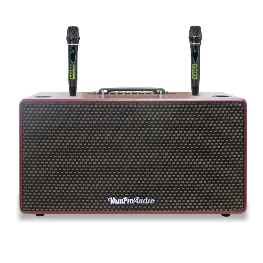 Loa karaoke xách tay Pro 8K10 | Bass đôi 20cm | Chip DSP | 350W - Ảnh 8