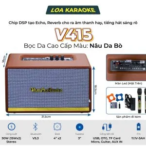 Loa karaoke xách tay Pro V415