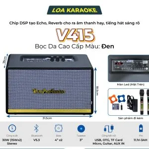 Loa karaoke xách tay Pro V415