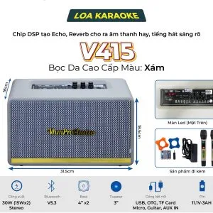 Loa karaoke xách tay Pro V415