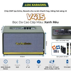 Loa karaoke xách tay Pro V415