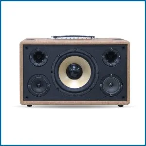 Loa xách tay Pro 8V5S