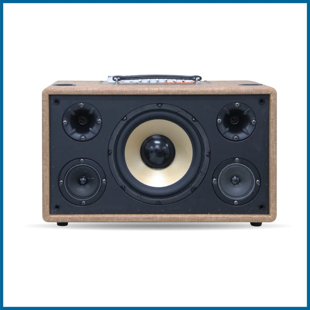 Loa xách tay Pro 8V5S