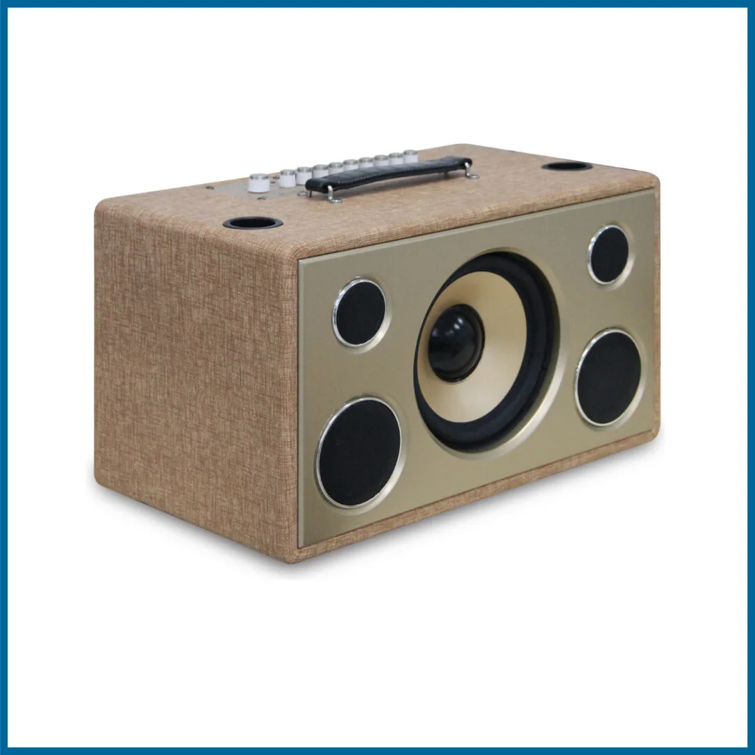 Loa xách tay Pro 8V5S