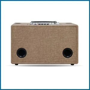 Loa xách tay Pro 8V5S