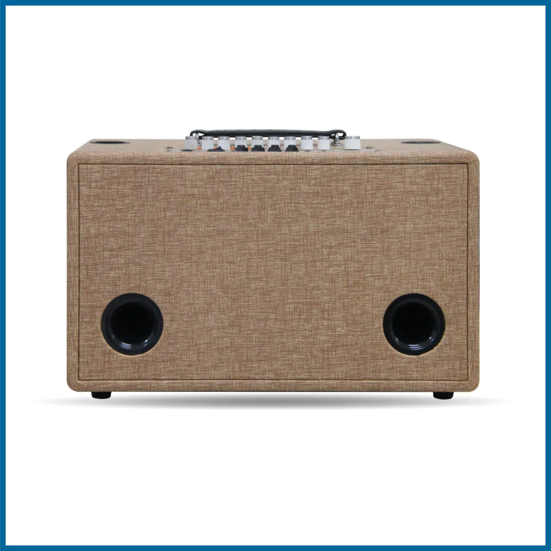 Loa xách tay Pro 8V5S