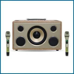 Loa xách tay Pro 8V5S