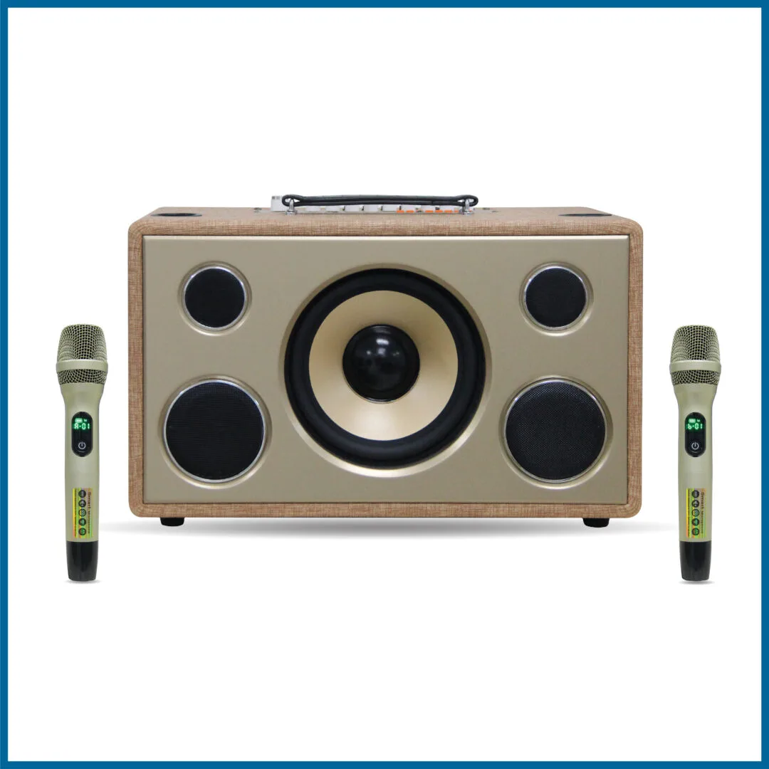 Loa xách tay Pro 8V5S