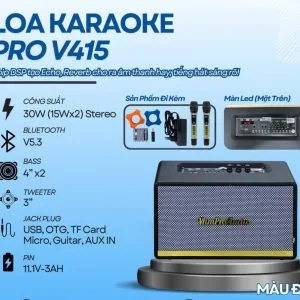 Loa karaoke xách tay Pro V415