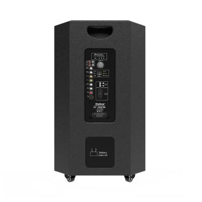Loa Dalton TS-15G610N | Bass 40cm | Công suất 650W | BH12T 19 Loa Dalton TS-15G610N