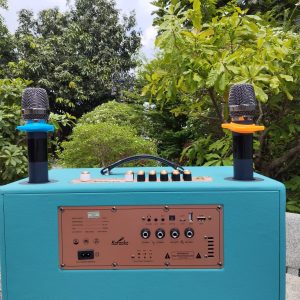 Loa xách tay EG Perfect 450 | 600W | Bass 25 | X-Bass | Bluetooth 15m 31 IMG 20250329 132840 scaled