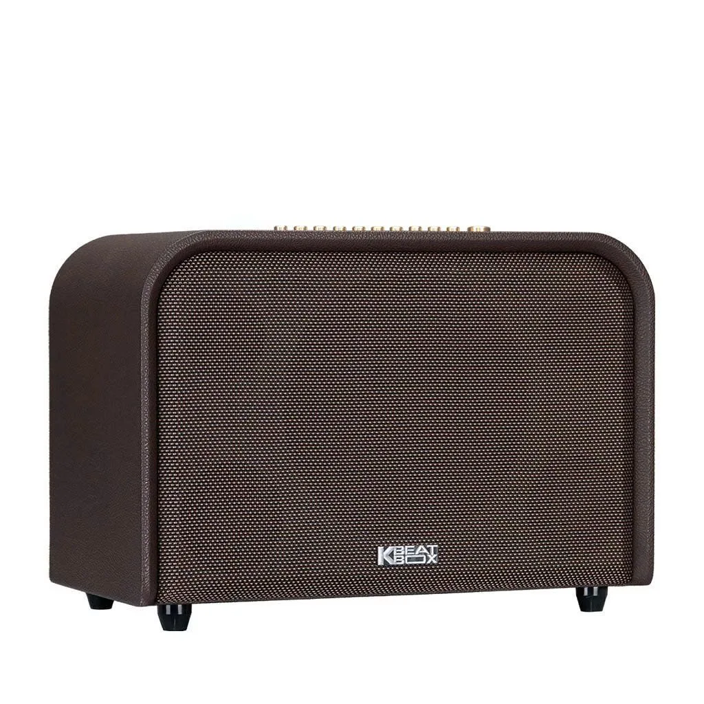 Loa xách tay Acnos Acoustic 3