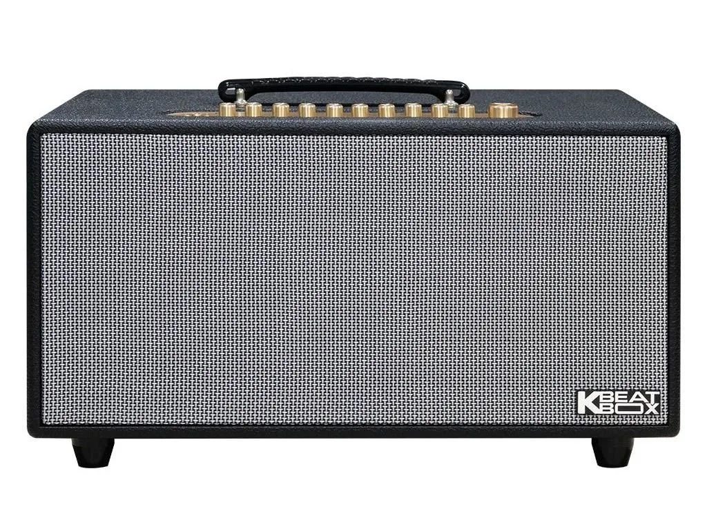 Loa xách tay Acnos HiNET 450 Gen 2 | Bass 16cm | 200W | BH 12 tháng 13 Loa xách tay Acnos HiNET 450 Gen 2