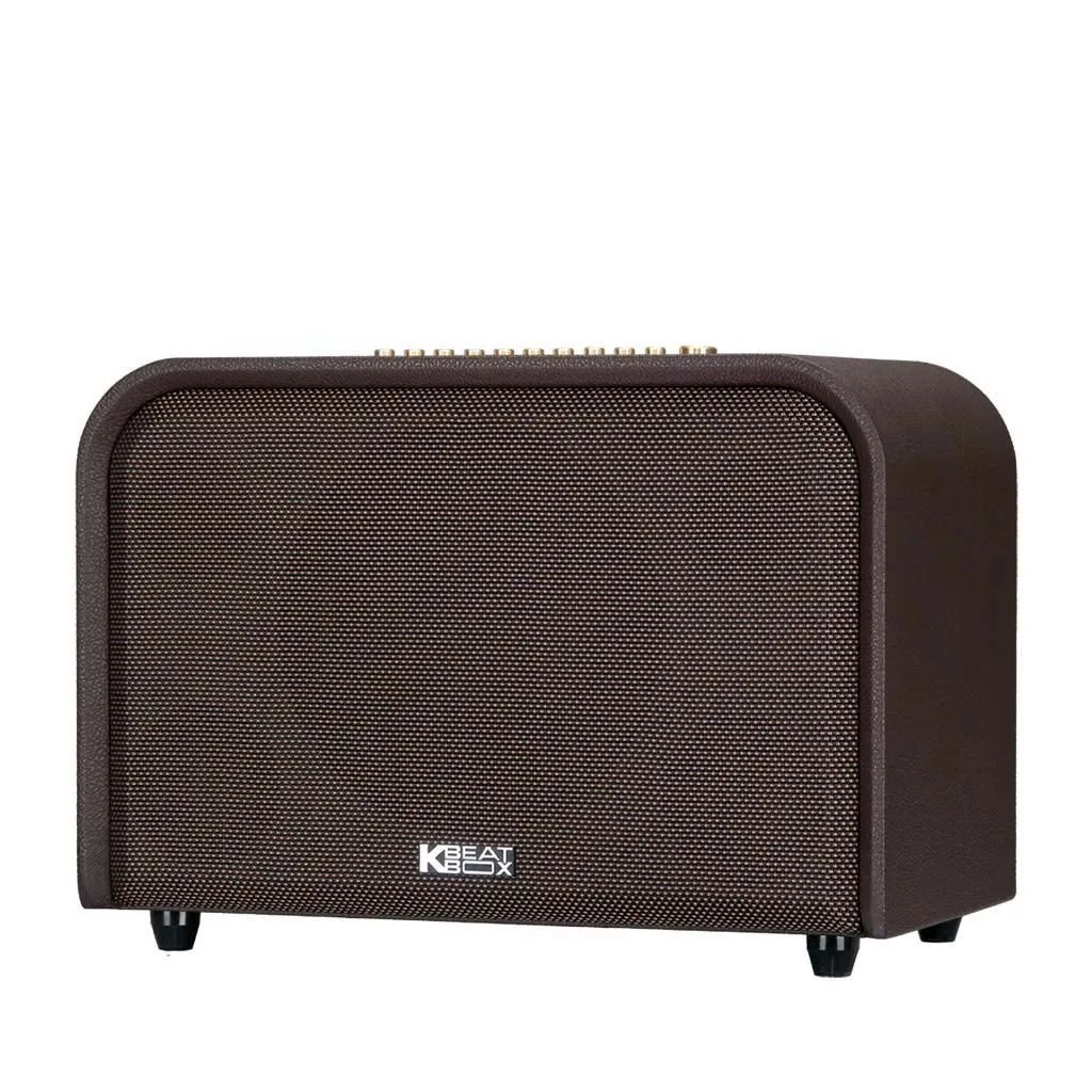 Loa xách tay Acnos Acoustic 3