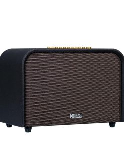 Loa xách tay Acnos Acoustic 3