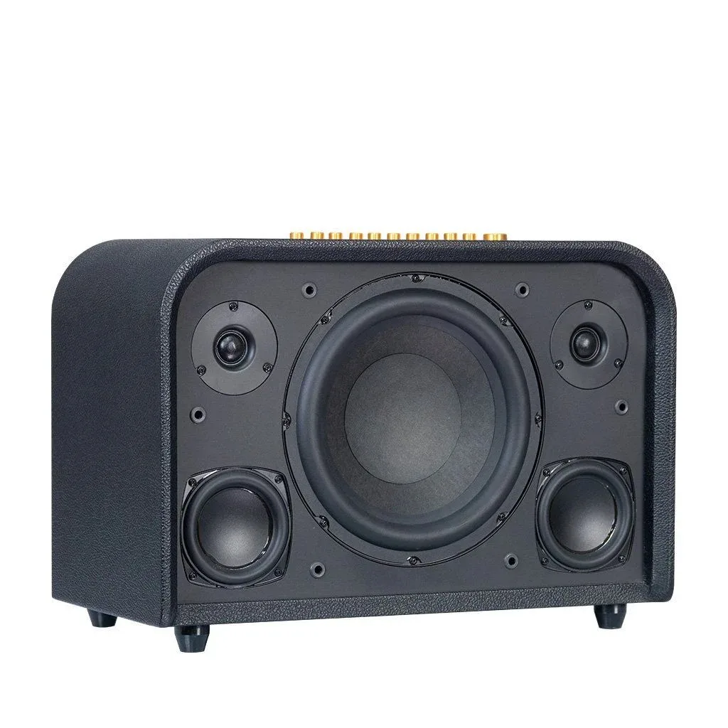 Loa xách tay Acnos Acoustic 3