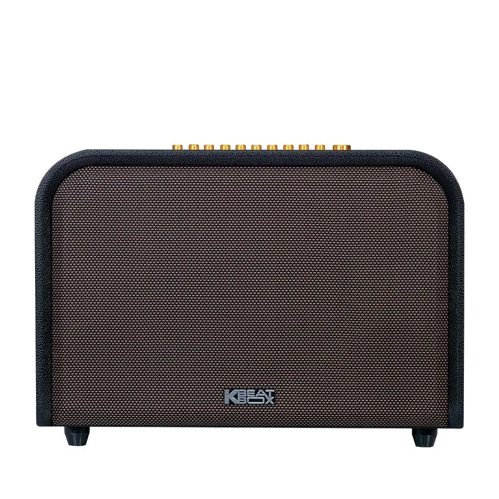 Loa xách tay Acnos Acoustic 3